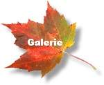 Galerie